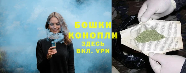 СК Медвежьегорск