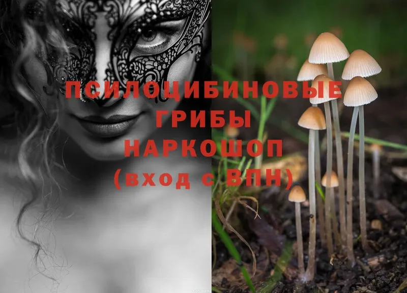 Псилоцибиновые грибы MAGIC MUSHROOMS  Данков 