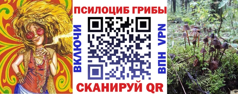 Псилоцибиновые грибы прущие грибы  блэк спрут   Данков 